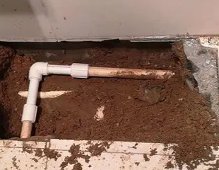 洛川测漏水哪家好