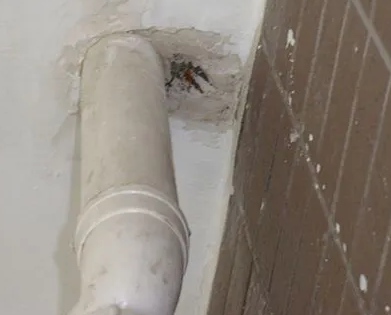 洛川漏水检测哪家好